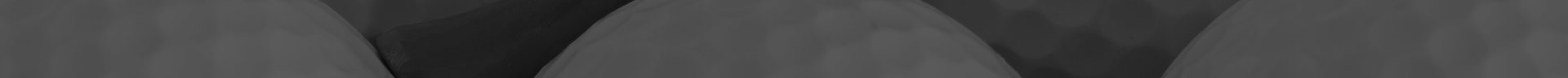 banner_in.jpg
